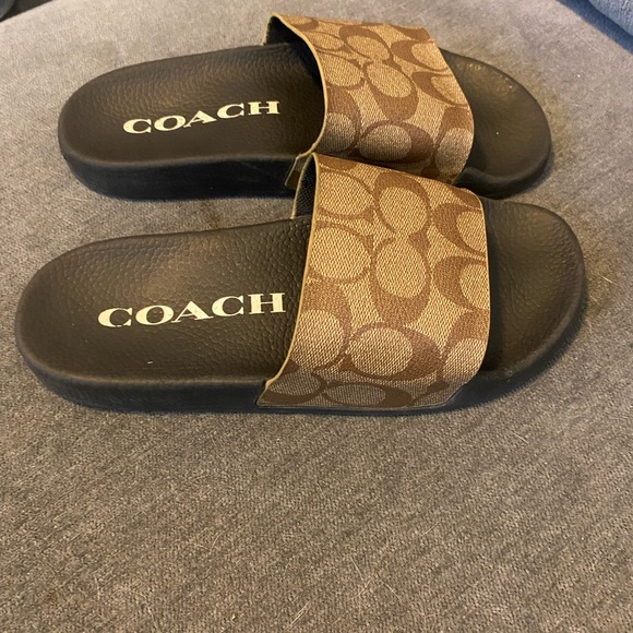 CoAch slides - Picture 3 of 6